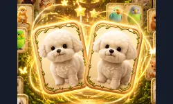image bg Animal Pair Card Match
