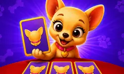 image bg Mischievous Pairs
