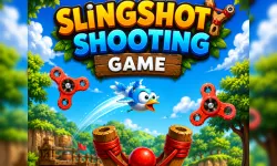Slingshot Shooting Game image